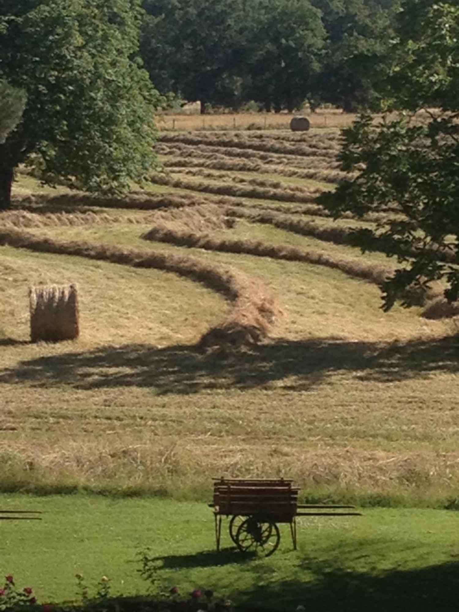 Domaine Du Buc, Le Chateau Marssac-sur-Tarn Eksteriør billede